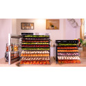 Deshidrator cu 10 tăvi Biovita DELUXE-10, carcasă și tăvi din inox de 38x38cm